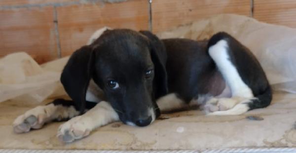 Timmy Foto 8